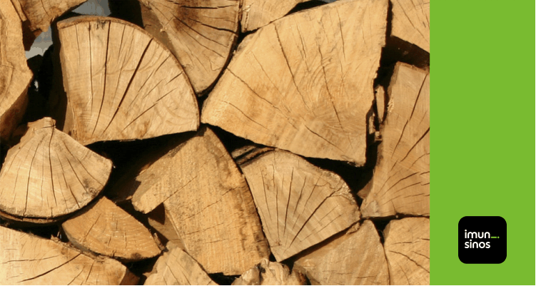 Você sabe quais são as madeiras mais resistentes aos cupins?